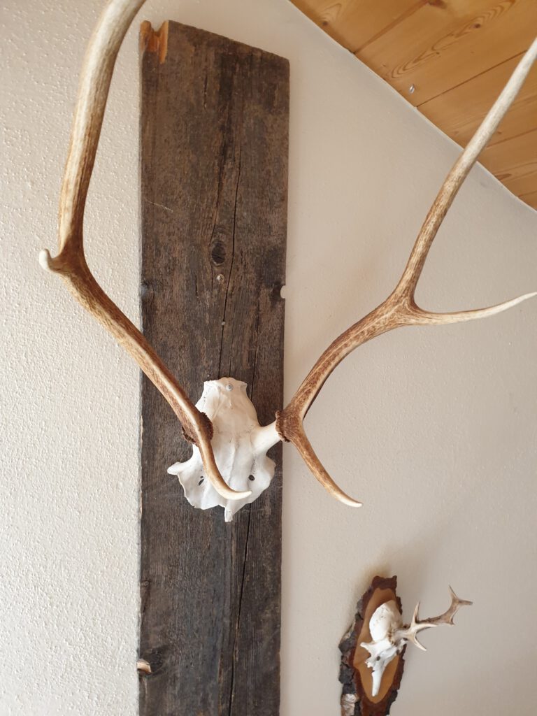 Wohnzimmer Wohnung 3 Haus Sonnenhang